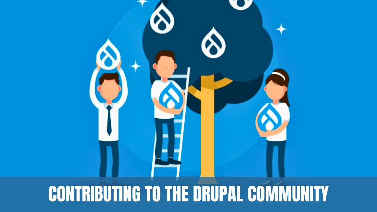 Contributing to the Drupal Community: A Comprehensive Guide - Trickyworld