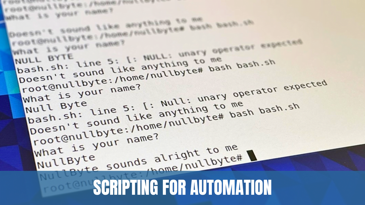Interview Preparation: Scripting for Automation with Shell/Bash - A ...